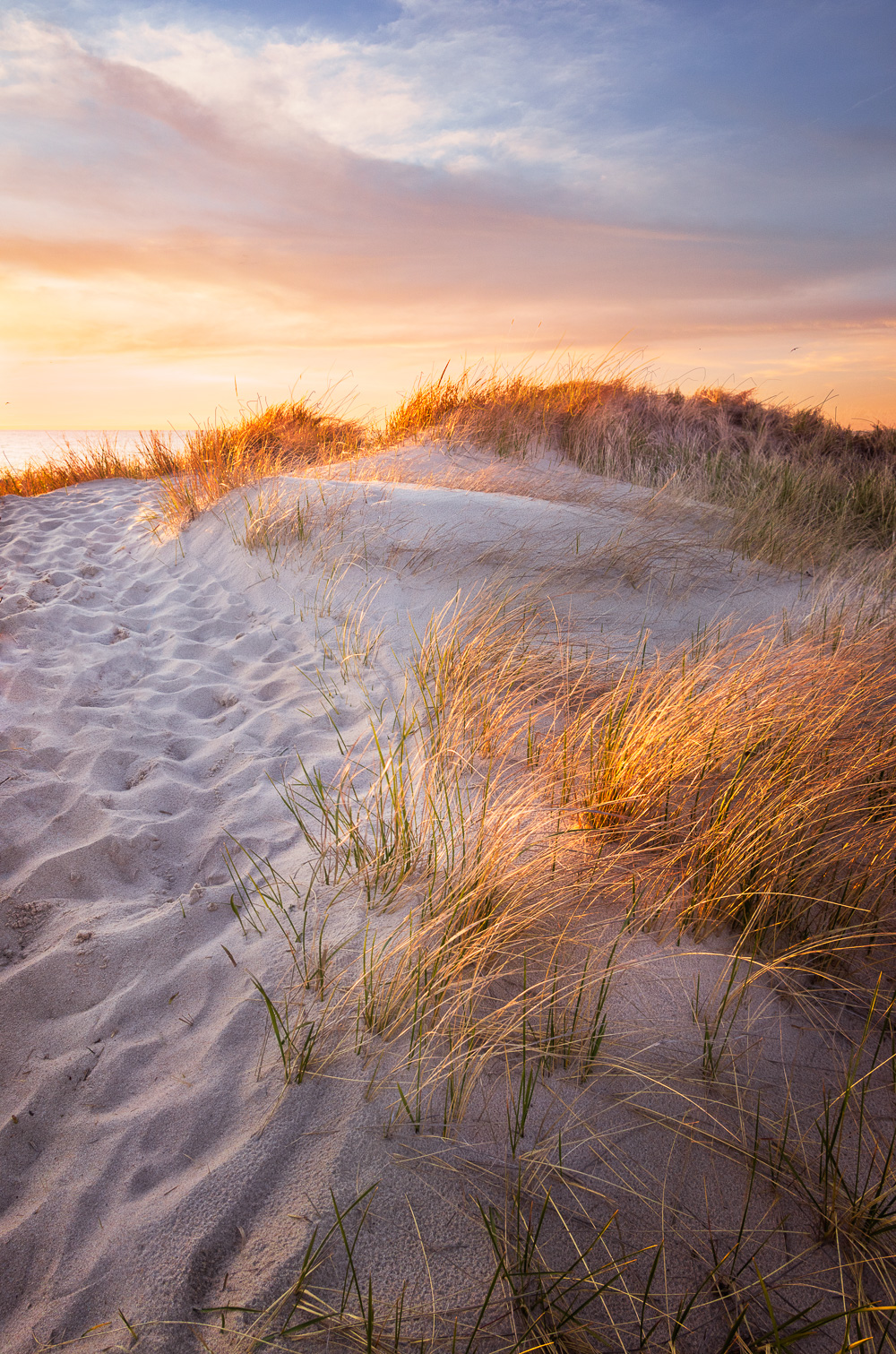 Cape Cod