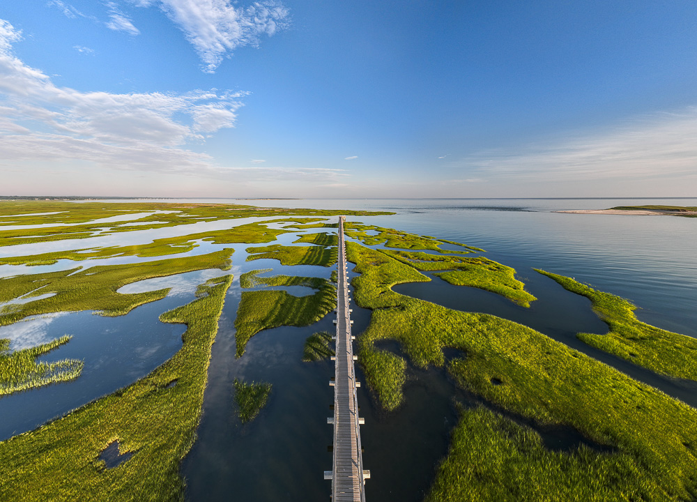 Cape Cod